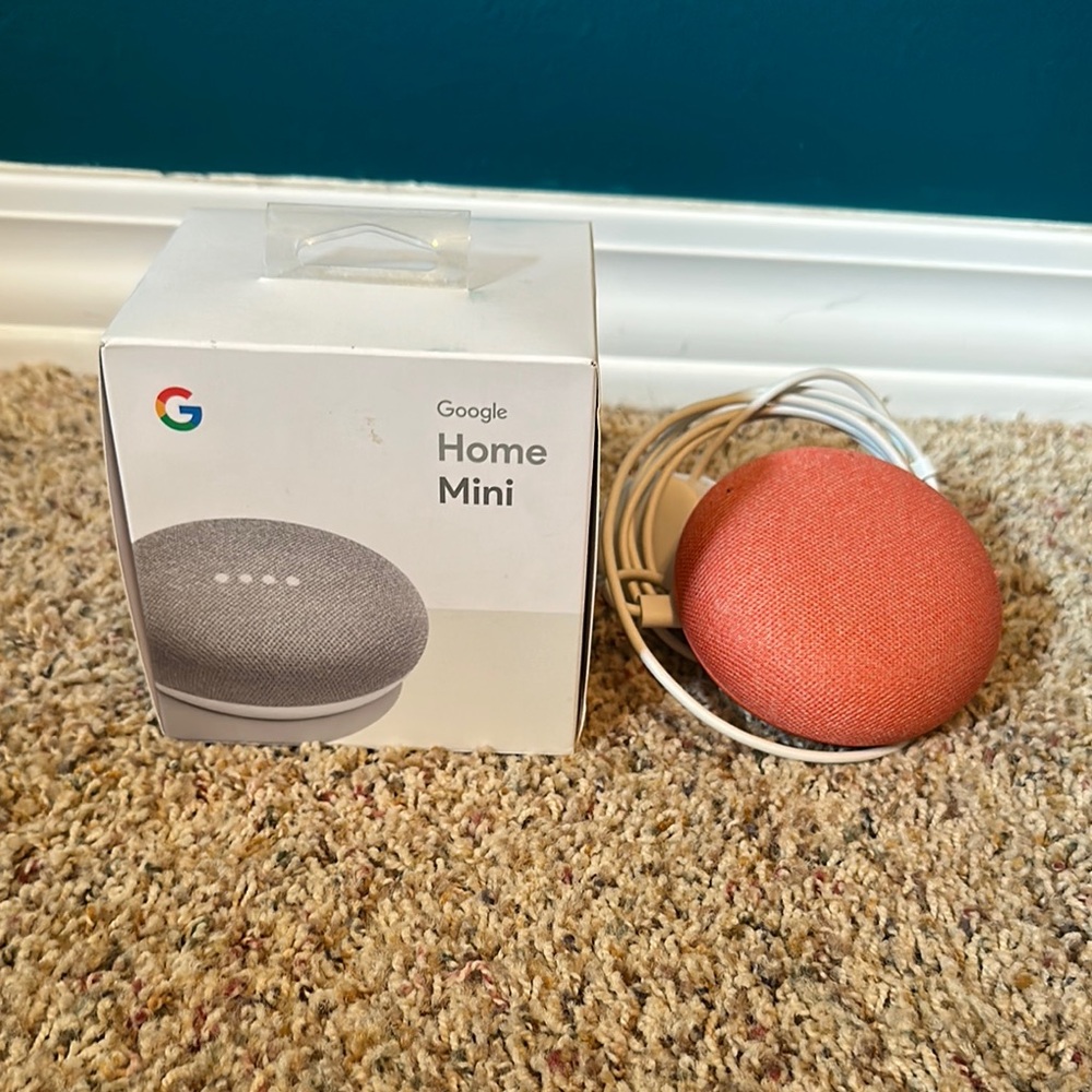 Google Smart Speaker in Vibrant Coral and Call Grey